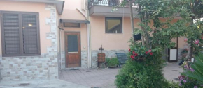 Casa David